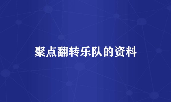 聚点翻转乐队的资料