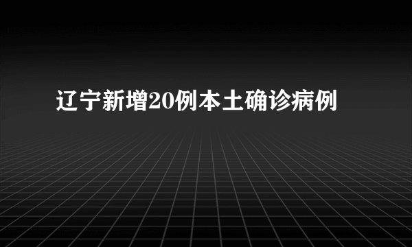 辽宁新增20例本土确诊病例
