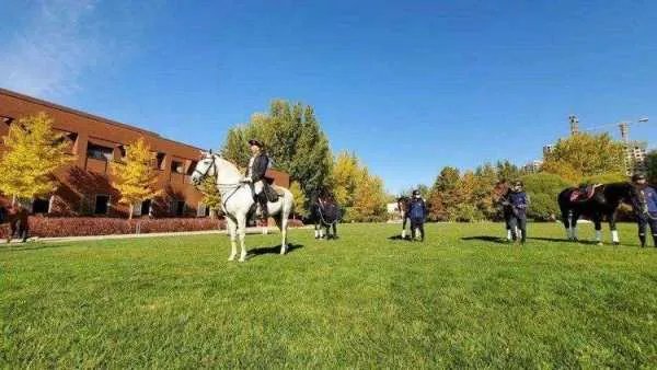 北京开通4.37公里城市马道，此行为传承了哪些文化底蕴？