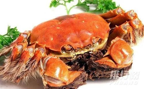 黄河口大闸蟹介绍_黄河口大闸蟹能放几天