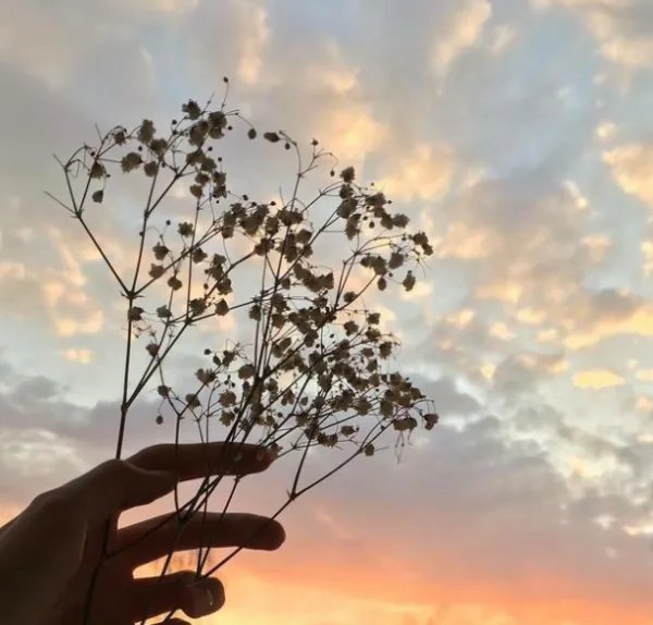 世间美好环环与你相扣歌词是什么？