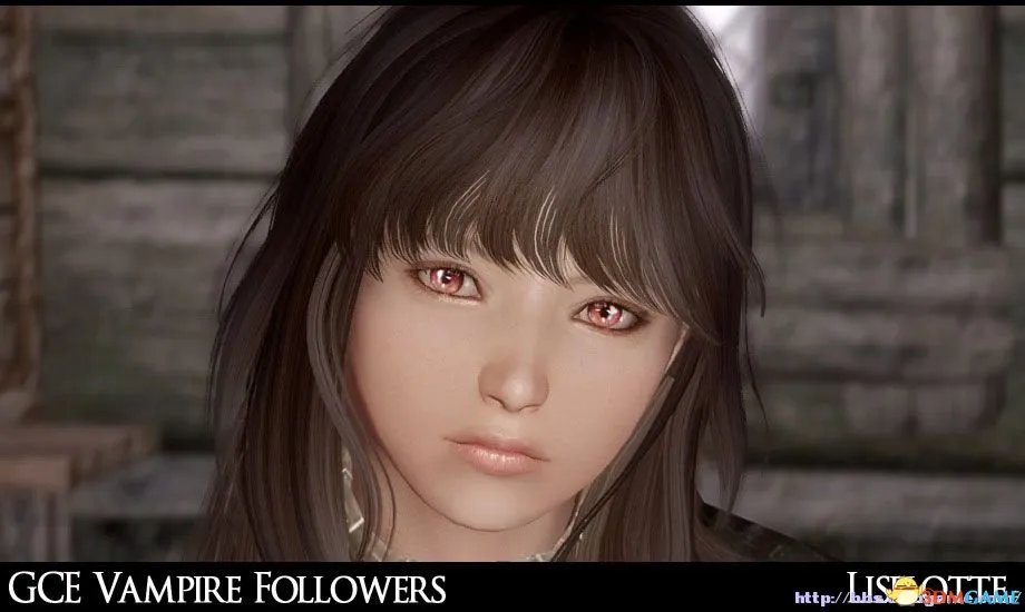 上古卷轴5 全天际美女计划 NPC美化 独孤城系列完毕