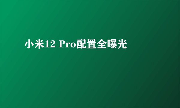 小米12 Pro配置全曝光