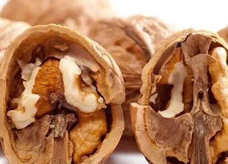 核桃的功效与作用