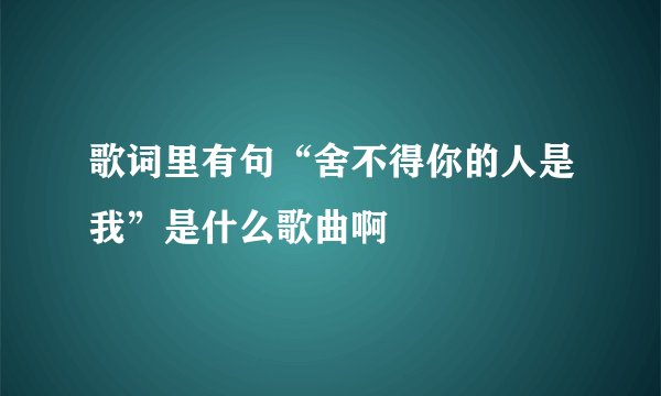 歌词里有句“舍不得你的人是我”是什么歌曲啊