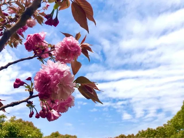 上海疫情已经降为三级,小区与小区之间的门什么时候通?