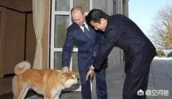 日本人如何看待安倍晋三？