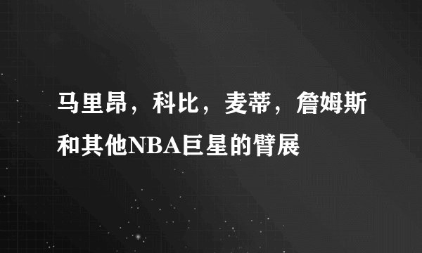 马里昂，科比，麦蒂，詹姆斯和其他NBA巨星的臂展