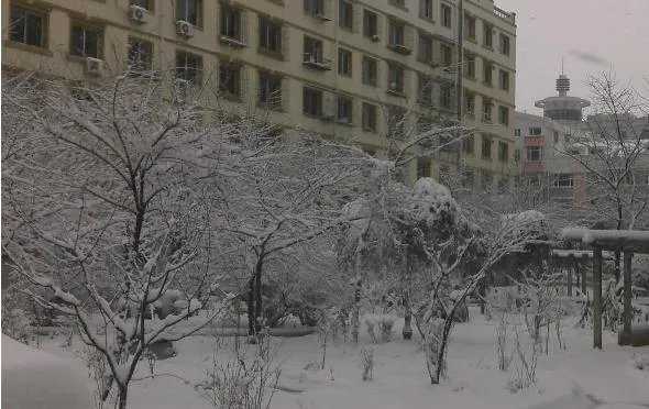 什么是家的味道？