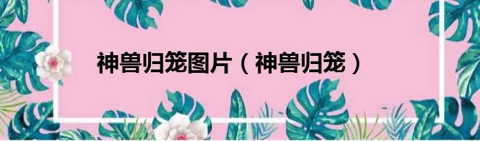 神兽归笼图片（神兽归笼）