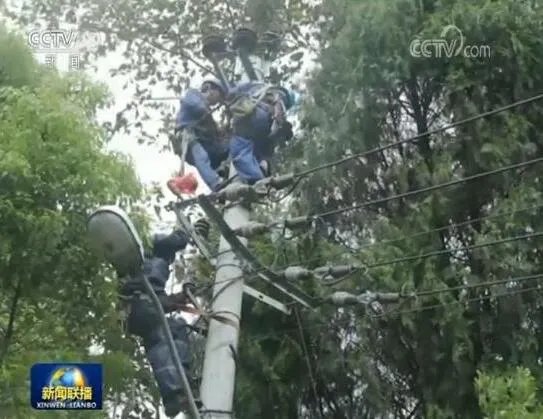 风王利奇马或被除名已致400万人受灾 风王利奇马为什么会被除名