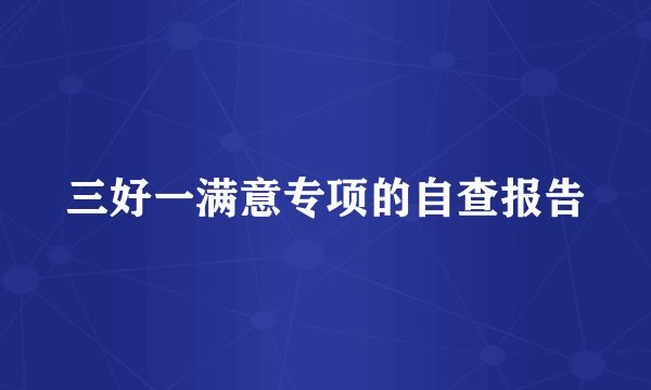 三好一满意专项的自查报告