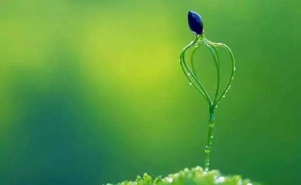 被查酒驾跳河身亡，这种行为是不是太偏激了？