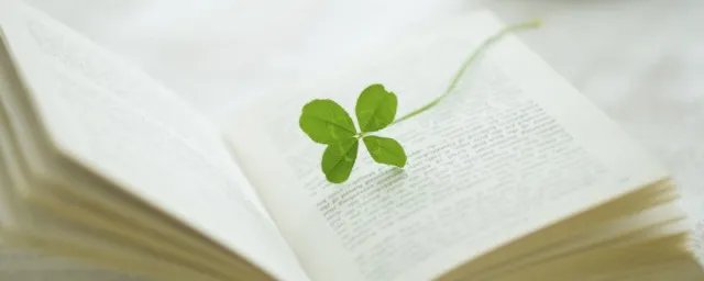 霍总请接招 大结局