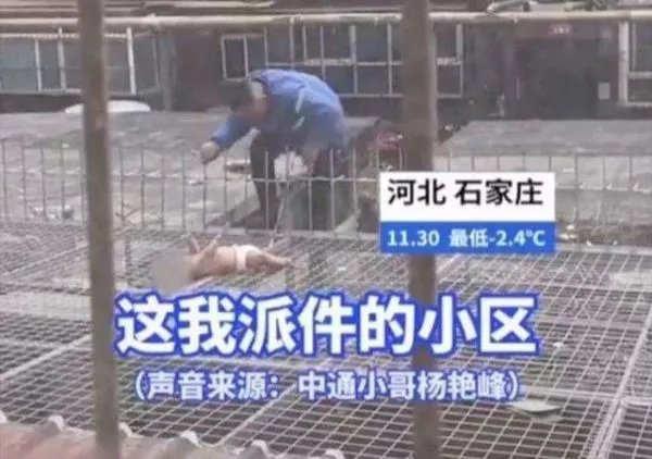 女婴从5楼坠落，疑似被妈妈亲手扔下，事情的真相是什么？