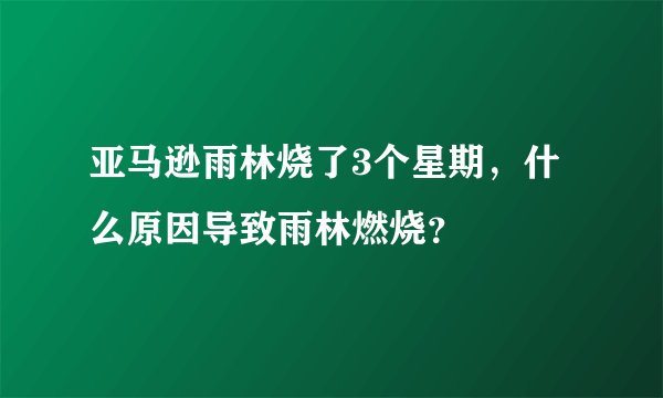 亚马逊雨林烧了3个星期，什么原因导致雨林燃烧？