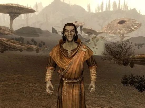 《上古卷轴5》全训练师位置详解及注意事项 轻甲及锻造训练师位置