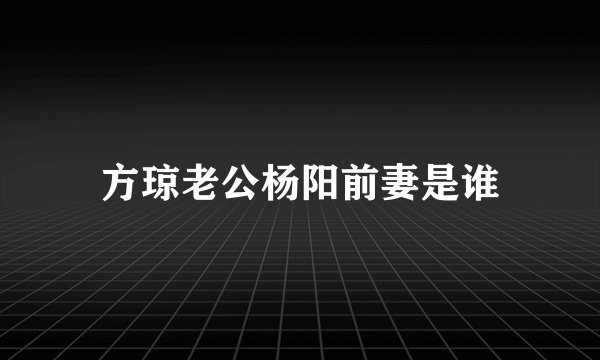 方琼老公杨阳前妻是谁
