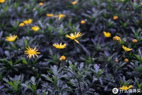 a6400开箱与三天使用体验 「多图预警!」