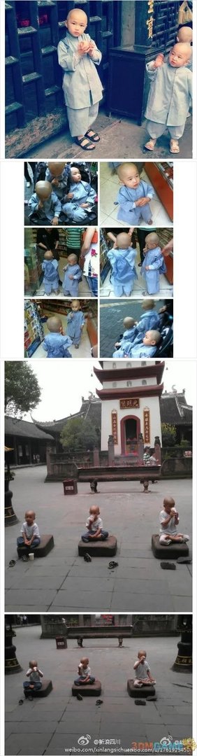 宝光寺三个小和尚网络疯传 网友直呼萌翻众生