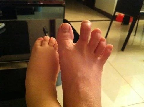 家有弟攻的介绍