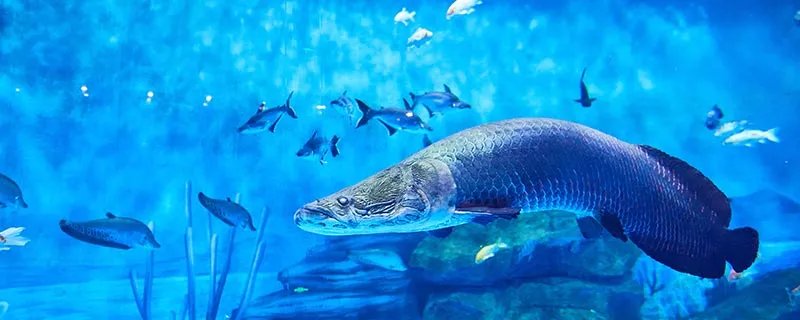 环境污染包括哪些 环境污染包括什么