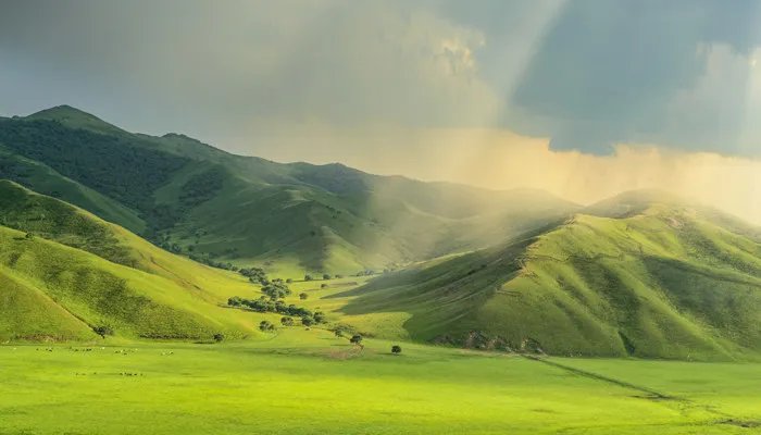 呼伦贝尔大草原在什么地方
