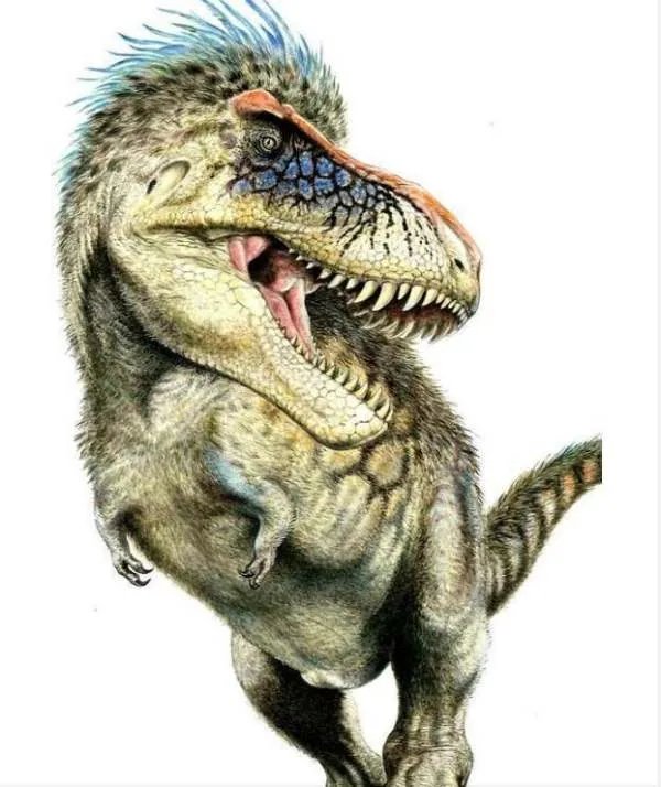 琥珀中发现了恐龙羽毛，那恐龙的外貌究竟是怎样的呢？