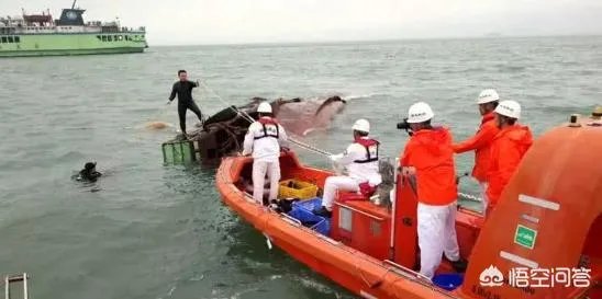 雾大为什么要停航