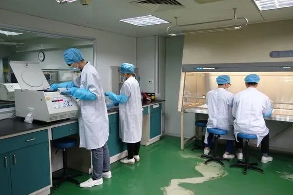 巴西累计确诊病例超266万，怎样才能避免再次上升？