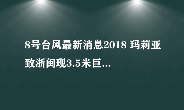 8号台风最新消息2018 玛莉亚致浙闽现3.5米巨浪和风暴潮