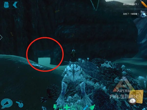 《方舟:生存进化》Tips第二期:地图盘点