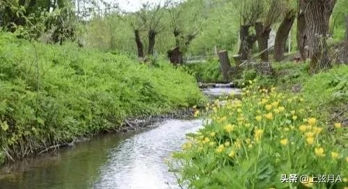 明天立春,你知道立春有哪些忌讳吗?