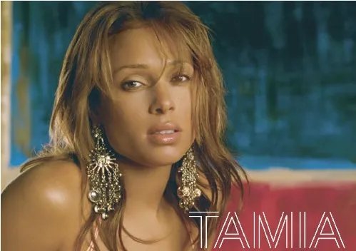 求Officially Missing You详细歌词