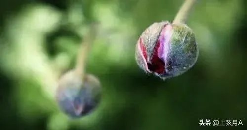 明天立春,你知道立春有哪些忌讳吗?