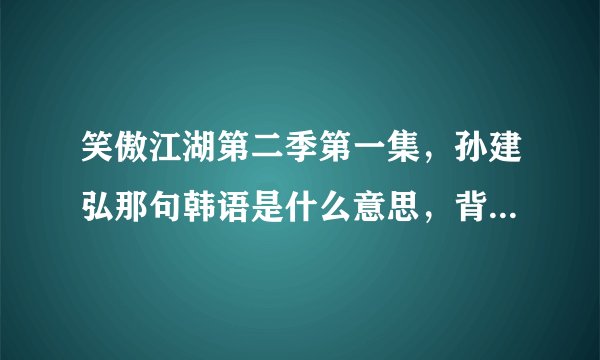 笑傲江湖第二季第一集，孙建弘那句韩语是什么意思，背景音乐是什么？