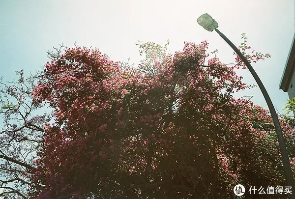 Contax G1 胶片相机:记录旅途的点点滴滴