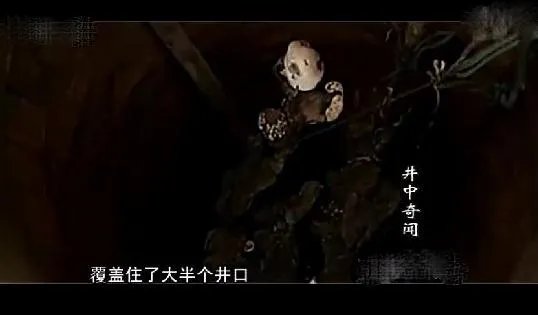 山村古井惊现诡异生物 老者道出真相（组图）