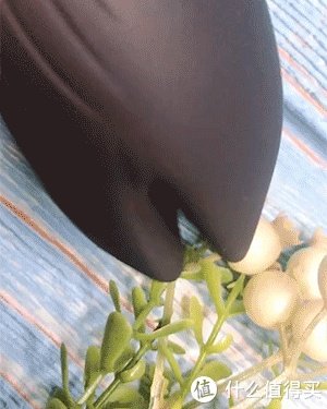 正视自己的需求！iroha 不羁夜&雏樱 对比评测