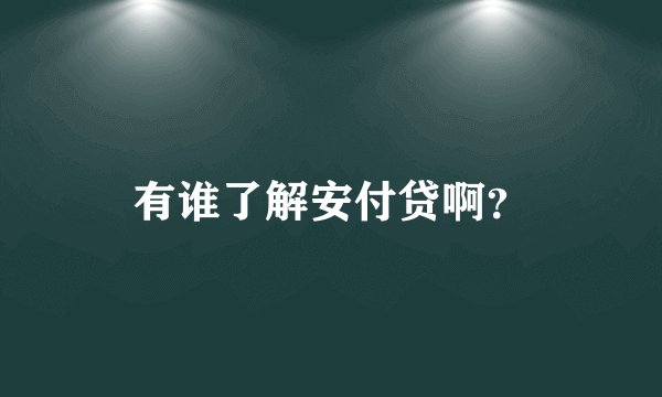 有谁了解安付贷啊？