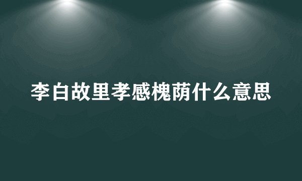 李白故里孝感槐荫什么意思