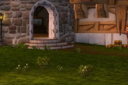 魔兽第一视角怎么调