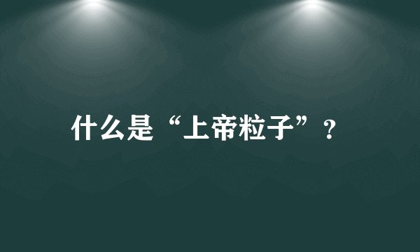 什么是“上帝粒子”？