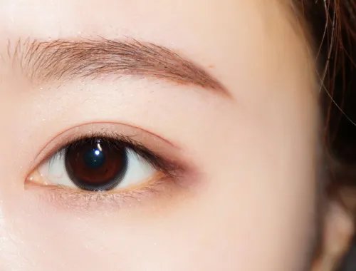 单眼皮怎么画眼影 单眼皮画眼影的方法分享