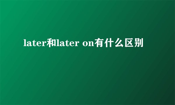 later和later on有什么区别