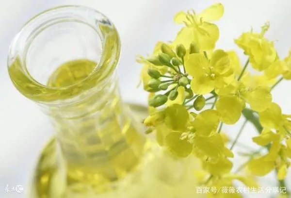 云南曲靖市有什么特产？