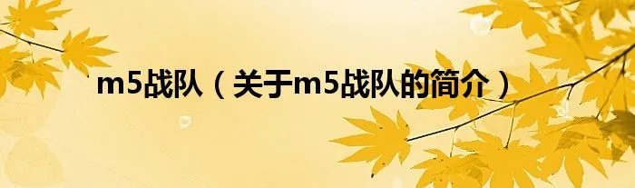 m5战队（关于m5战队的简介）