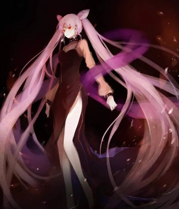 黑暗小姐的关于小小兔