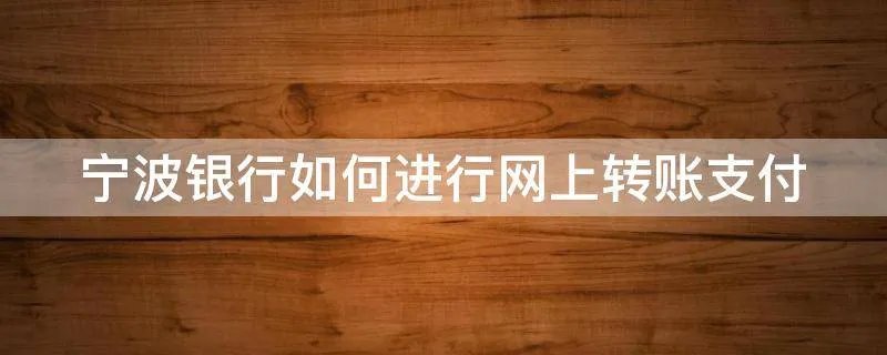 宁波银行如何进行网上转账支付