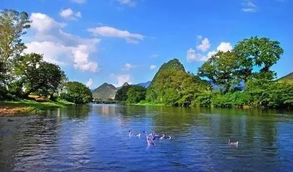 广东佛冈有什么特色？